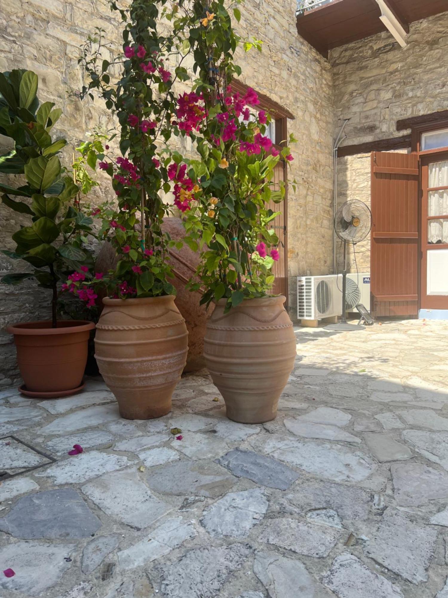 Villa Theodorou Lefkara ภายนอก รูปภาพ