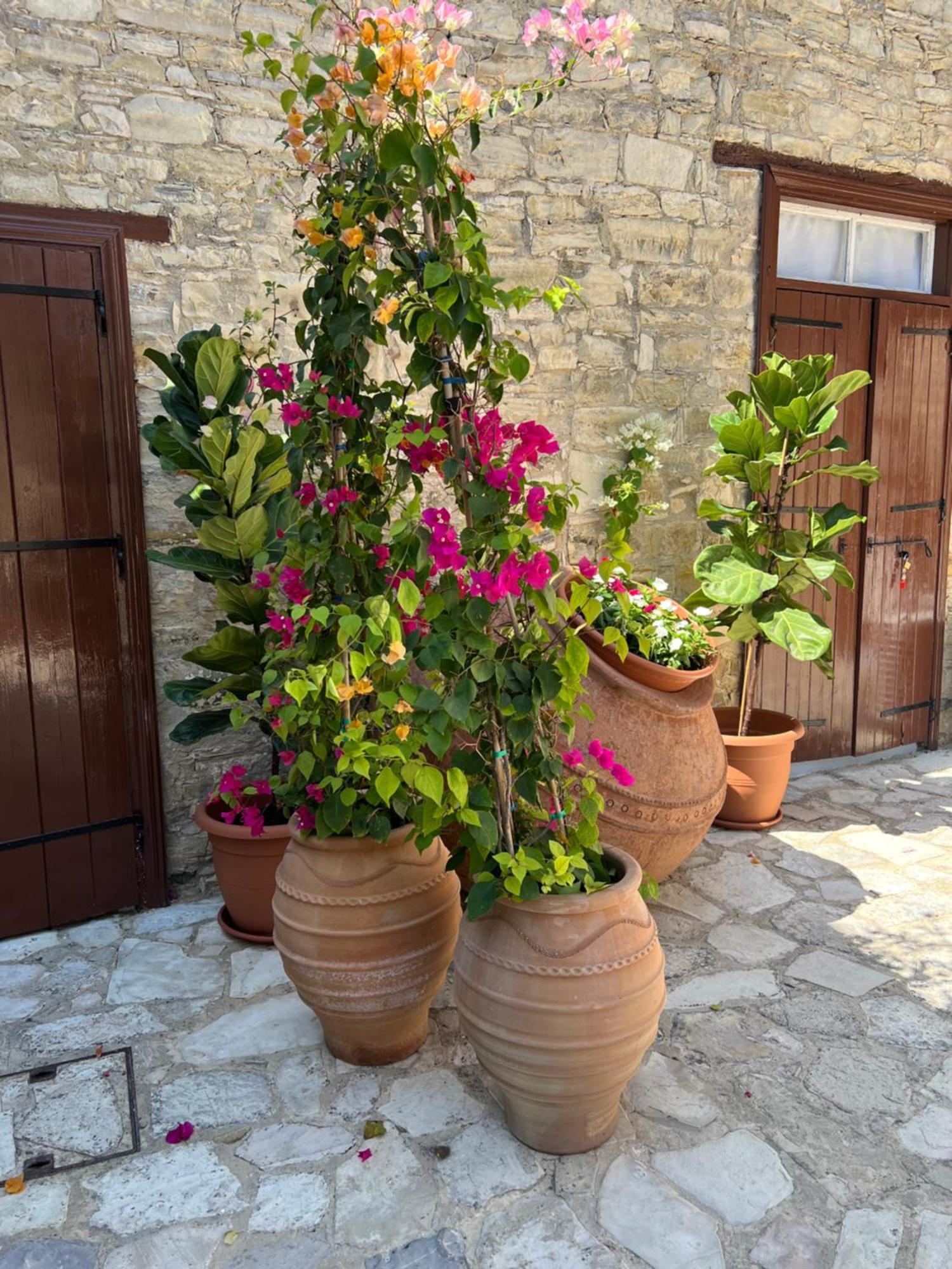 Villa Theodorou Lefkara ภายนอก รูปภาพ